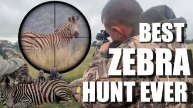 The Best Walk and Stalk Hunting in South Africa - My First Zebra Stallion with Bronze Croc Safaris
