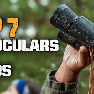 Best Binoculars for Birds | Which Are The Best Binoculars For Bird Watching?