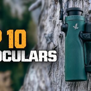 Best Binoculars: Exploring The Top 10 Binoculars For Hunting, Birding, & Traveling