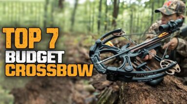 Top 7 BEST Budget Crossbow You Can Buy Right Now