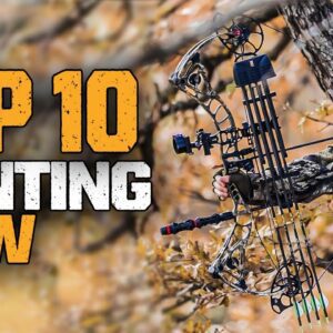 Best Hunting Bow In 2023 | Top Rated Hunting Bows For Experts